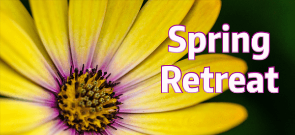 Image of a yellow flower with text reading Spring Retreat