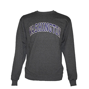 Champion-Unisex-Arched-Washington-Crewneck-Sweatshirt