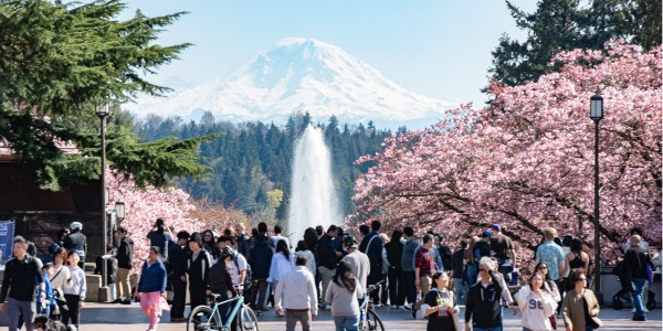 Rainier Vista on campus